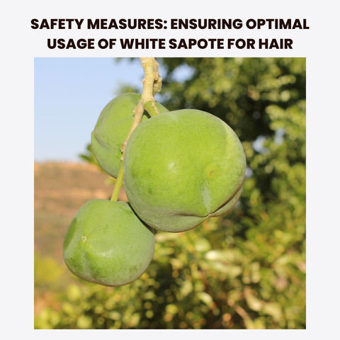 Safety Measures: Ensuring Optimal Usage of White Sapote for Hair