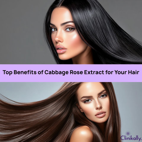 Top Benefits of Cabbage Rose Extract for Your Hair