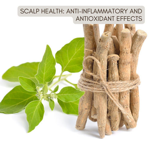Scalp Health: Anti-inflammatory and Antioxidant Effects
