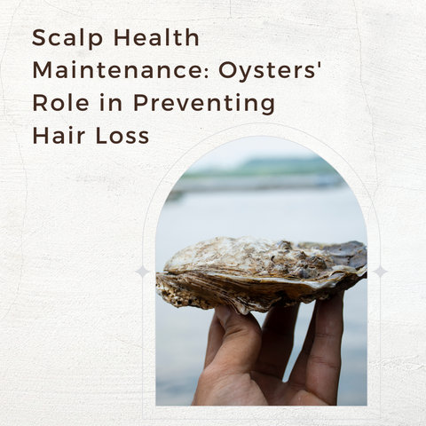 Scalp Health Maintenance: Oysters' Role in Preventing Hair Loss