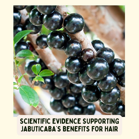 Scientific Evidence Supporting Jabuticaba’s Benefits for Hair