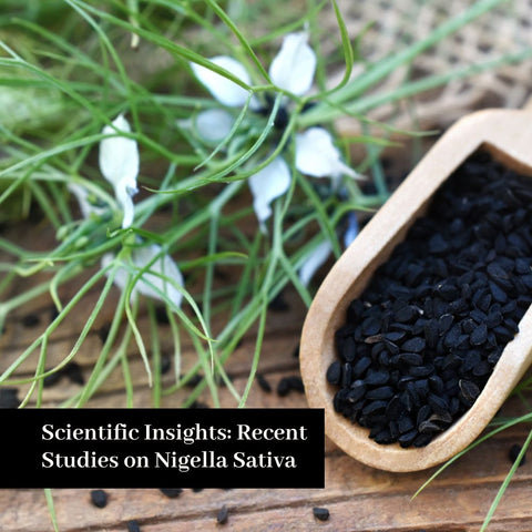 Scientific Insights: Recent Studies on Nigella Sativa