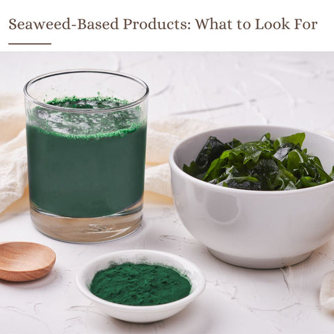 Seaweed-Based Products: What to Look For