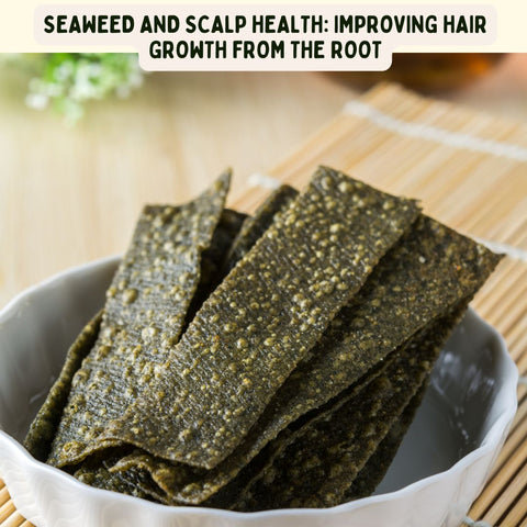 Seaweed and Scalp Health: Improving Hair Growth from the Root