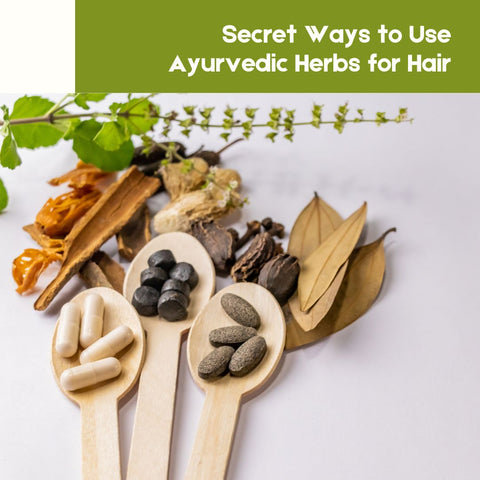 Secret Ways to Use Ayurvedic Herbs for Hair