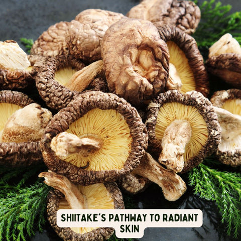 Shiitake's Pathway to Radiant Skin