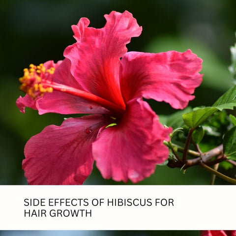 Side Effects of Hibiscus for Hair Growth