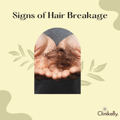 Signs of Hair Breakage