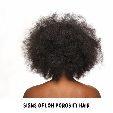 Signs of Low Porosity Hair