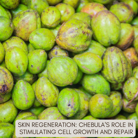 Skin Regeneration: Chebula's Role in Stimulating Cell Growth and Repair