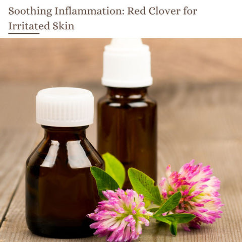 Soothing Inflammation: Red Clover for Irritated Skin