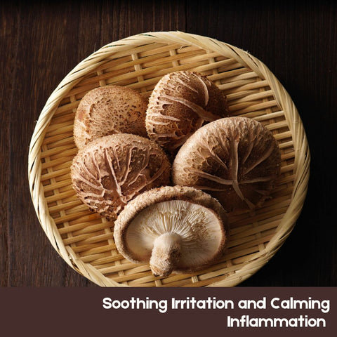Soothing Irritation and Calming Inflammation 