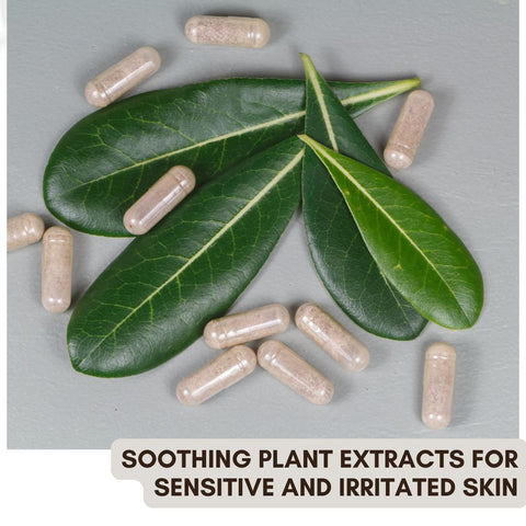 Soothing Plant Extracts for Sensitive and Irritated Skin