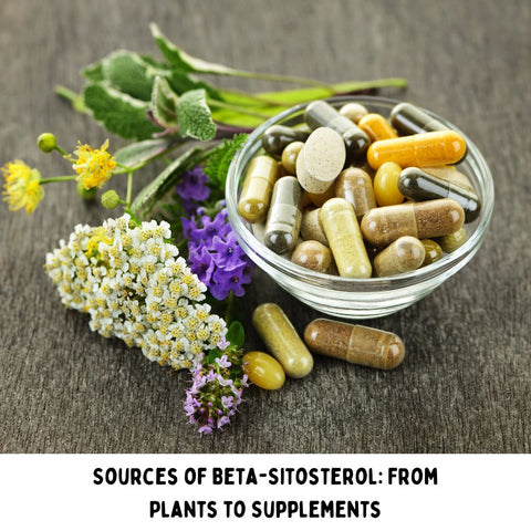 Sources of Beta-Sitosterol: From Plants to Supplements