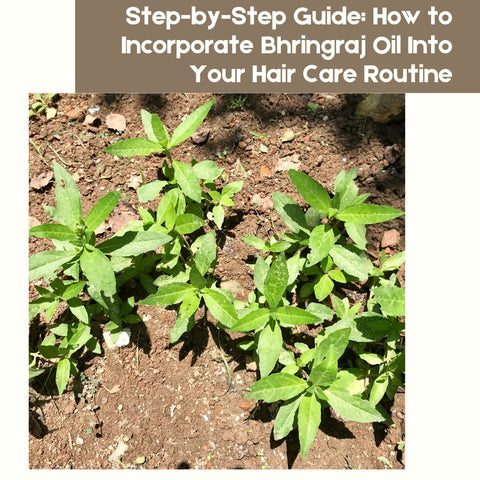 Step-by-Step Guide: How to Incorporate Bhringraj Oil Into Your Hair Care Routine