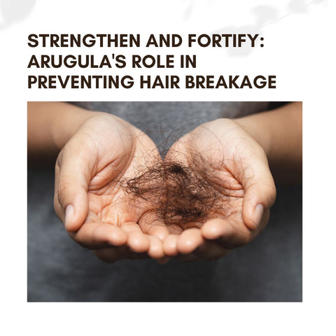 Strengthen and Fortify: Arugula's Role in Preventing Hair Breakage