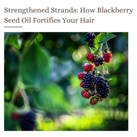 Strengthened Strands: How Blackberry Seed Oil Fortifies Your Hair