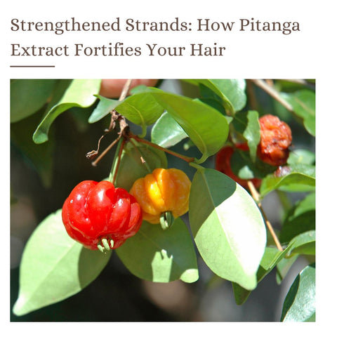 Strengthened Strands: How Pitanga Extract Fortifies Your Hair