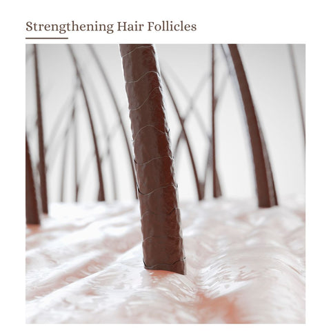 Strengthening Hair Follicles