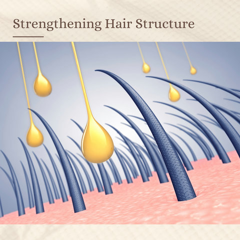 Strengthening Hair Structure