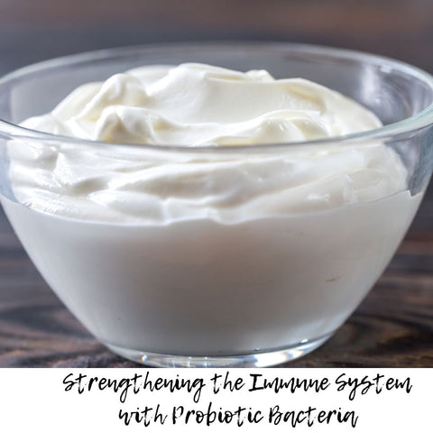 Strengthening the Immune System with Probiotic Bacteria