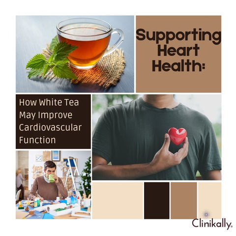 Supporting Heart Health: How White Tea May Improve Cardiovascular Function