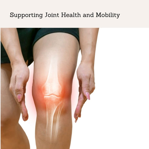 Supporting Joint Health and Mobility