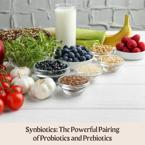 Synbiotics: The Powerful Pairing of Probiotics and Prebiotics