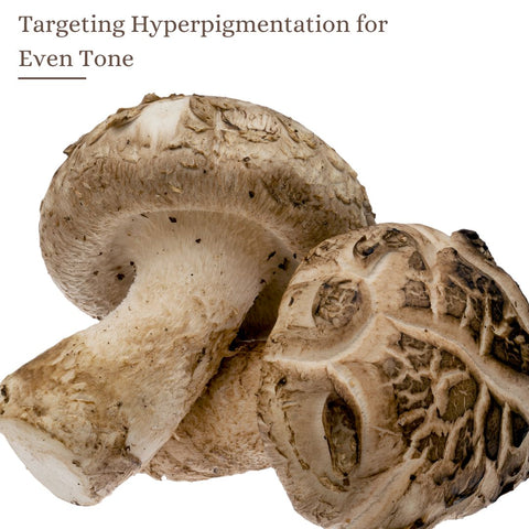 Targeting Hyperpigmentation for Even Tone