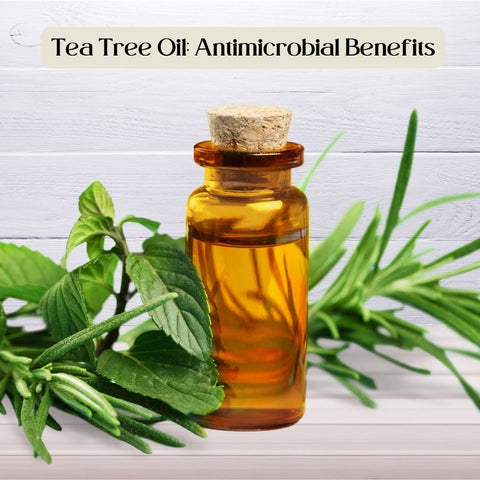 Tea Tree Oil: Antimicrobial Benefits