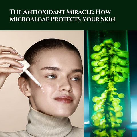 The Antioxidant Miracle: How Microalgae Protects Your Skin