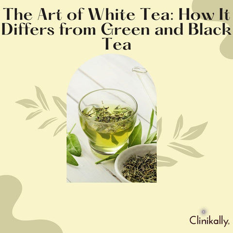 The Art of White Tea: How It Differs from Green and Black Tea