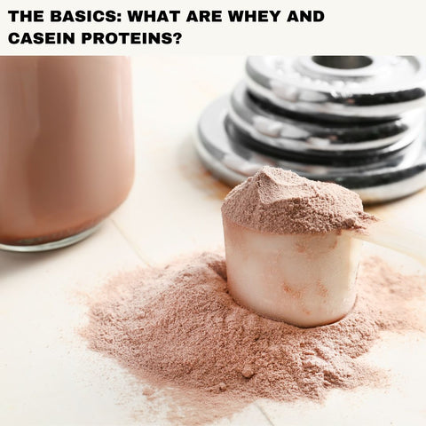 The Basics: What Are Whey and Casein Proteins?