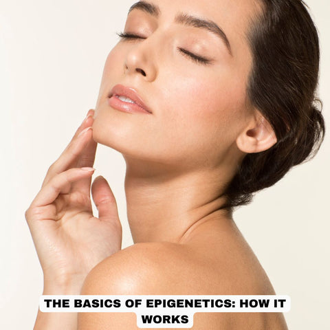The Basics of Epigenetics: How It Works
