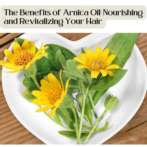 The Benefits of Arnica Oil: Nourishing and Revitalizing Your Hair