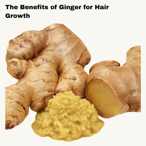 The Benefits of Ginger for Hair Growth
