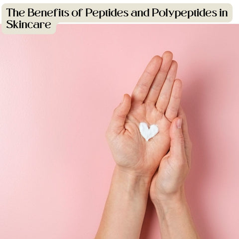 The Benefits of Peptides and Polypeptides in Skincare