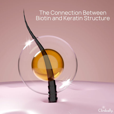 The Connection Between Biotin and Keratin Structure