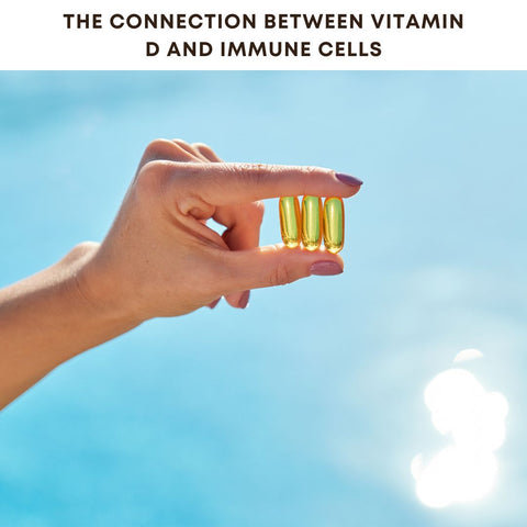 The Connection Between Vitamin D and Immune Cells