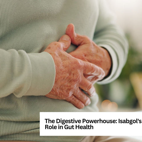 The Digestive Powerhouse: Isabgol's Role in Gut Health