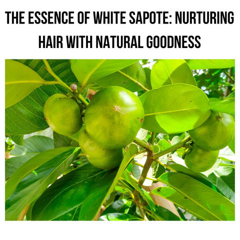 The Essence of White Sapote: Nurturing Hair with Natural Goodness
