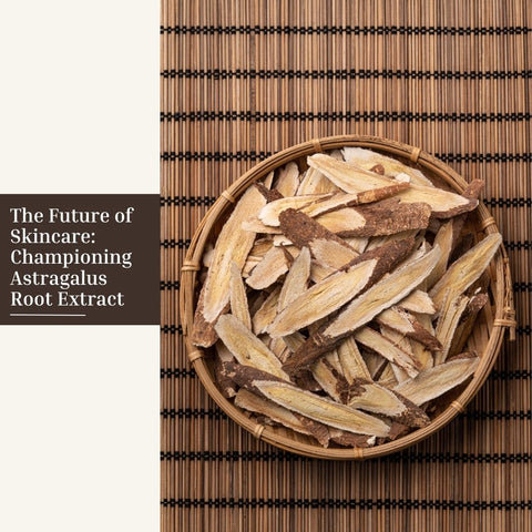 The Future of Skincare: Championing Astragalus Root Extract