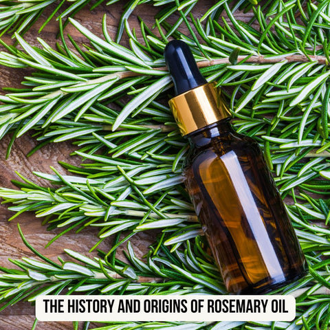 The History and Origins of Rosemary Oil
