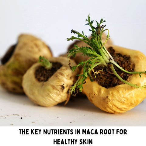 The Key Nutrients in Maca Root for Healthy Skin