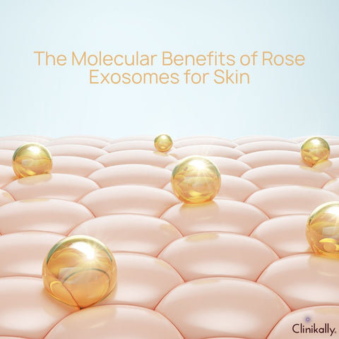 The Molecular Benefits of Rose Exosomes for Skin