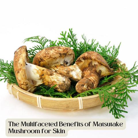 The Multifaceted Benefits of Matsutake Mushroom for Skin
