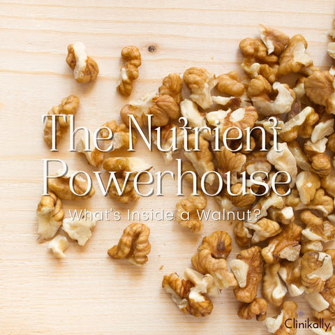 The Nutrient Powerhouse: What’s Inside a Walnut?