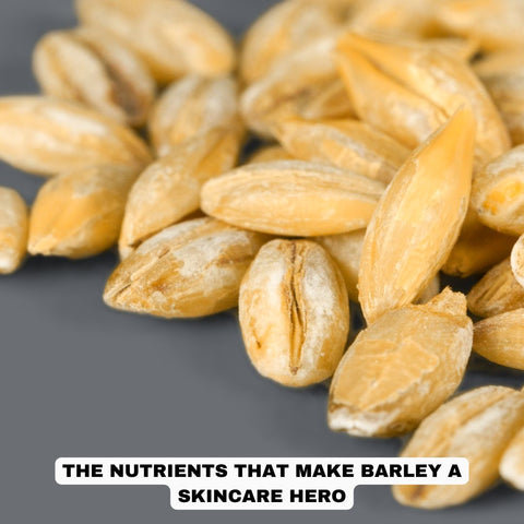 The Nutrients that Make Barley a Skincare Hero