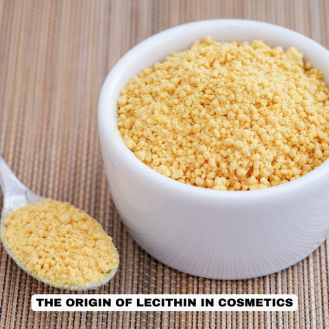The Origin of Lecithin in Cosmetics