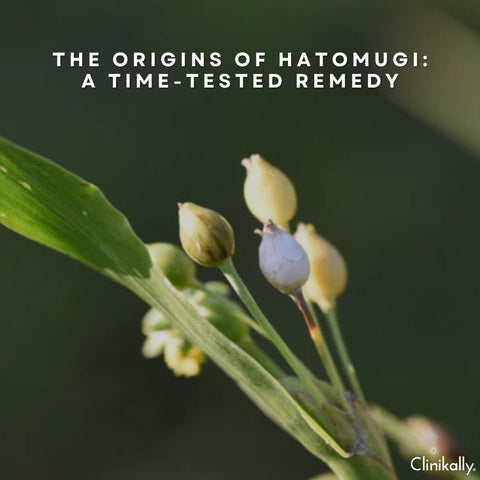 The Origins of Hatomugi: A Time-Tested Remedy